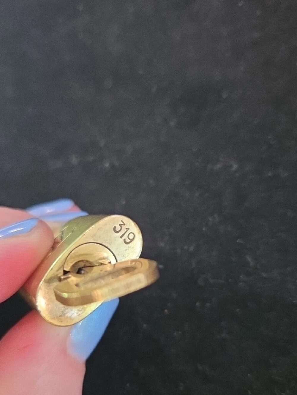 Louis Vuitton Gold Padlock with LV Monogram #319